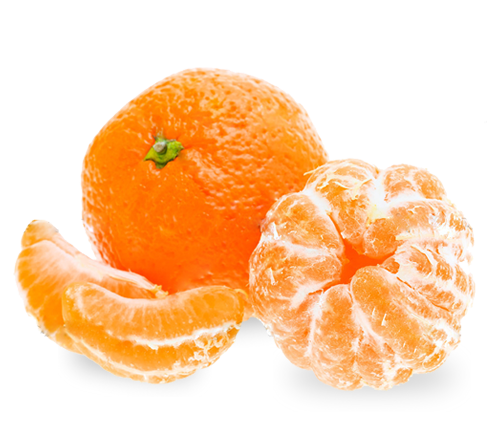 Egyptian Mandarins 'Fremont'