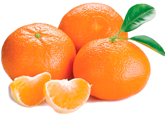 Egyptian Mandarins