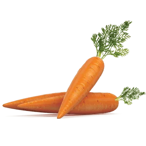 Carrots