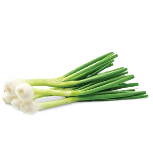 Egyptian Spring Onion