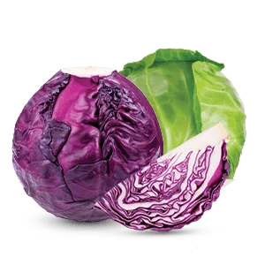 Egyptian Cabbage